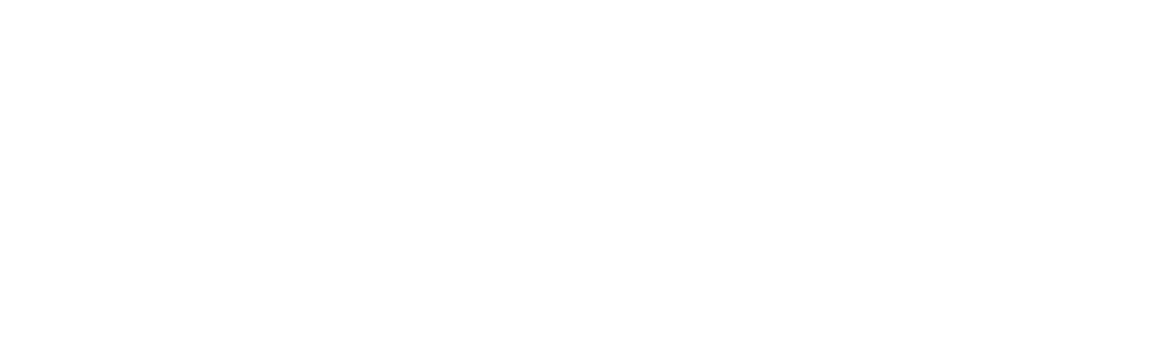 BAGART Professional